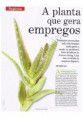 /album/forever-na-midia3/isto-dinheiro-babosa-anti-crise-0001-jpg/